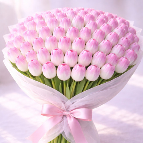Букет из 80 бело-розовых тюльпанов