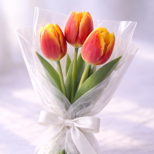 Букет из 3 красно-желтых тюльпанов