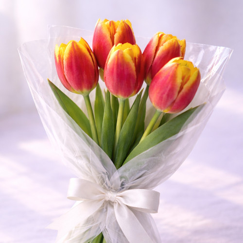 Букет из 5 красно-желтый тюльпанов