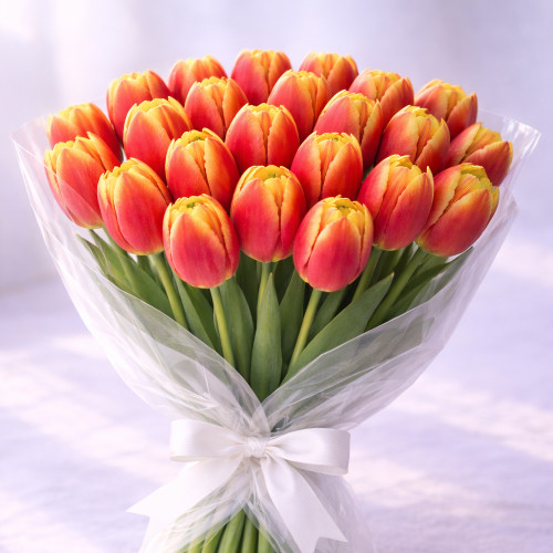 Букет из 20 красно-желтых тюльпанов