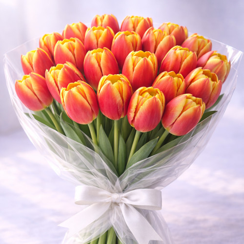Букет из 25 красно-желтых тюльпанов