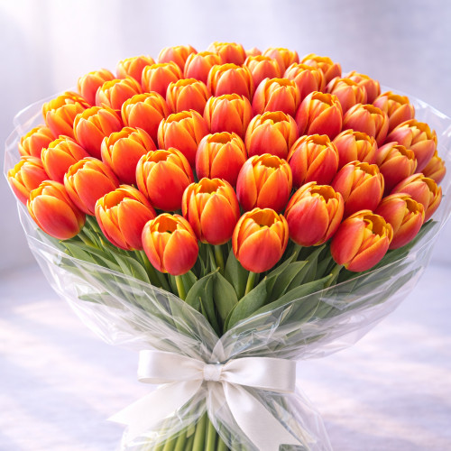 Букет из 60 красно-желтых тюльпанов