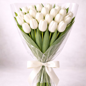 Букет из 25 белых тюльпанов