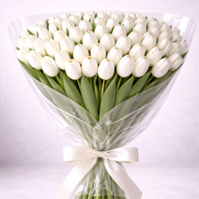 Букет из 60 белых тюльпанов