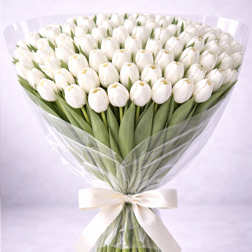 Букет из 100 белых тюльпанов