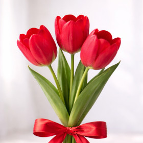 Букет из 3 красных тюльпанов