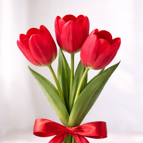 Букет из 3 красных тюльпанов