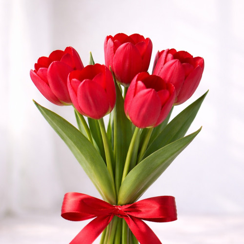 Букет из 5 красных тюльпанов