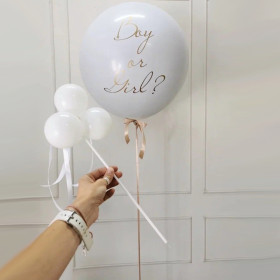 Шар 60 см "Мальчик или девочка", на гендер пати