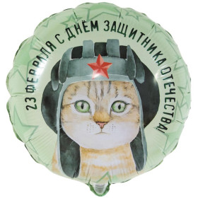 Шар круг "23 Февраля. Кот"