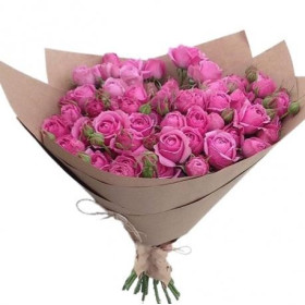 19 розовых Пионовидных кустовых Роз